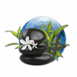 Parfum De Spa à Base D'huiles Essentielles Orient 250 Ml 8 Parfum De Spa à Base D'huiles Essentielles Orient 250 Ml -Piscines Ubbink Boutique parfum spa huiles essentielles orient camylle 250 ml 2